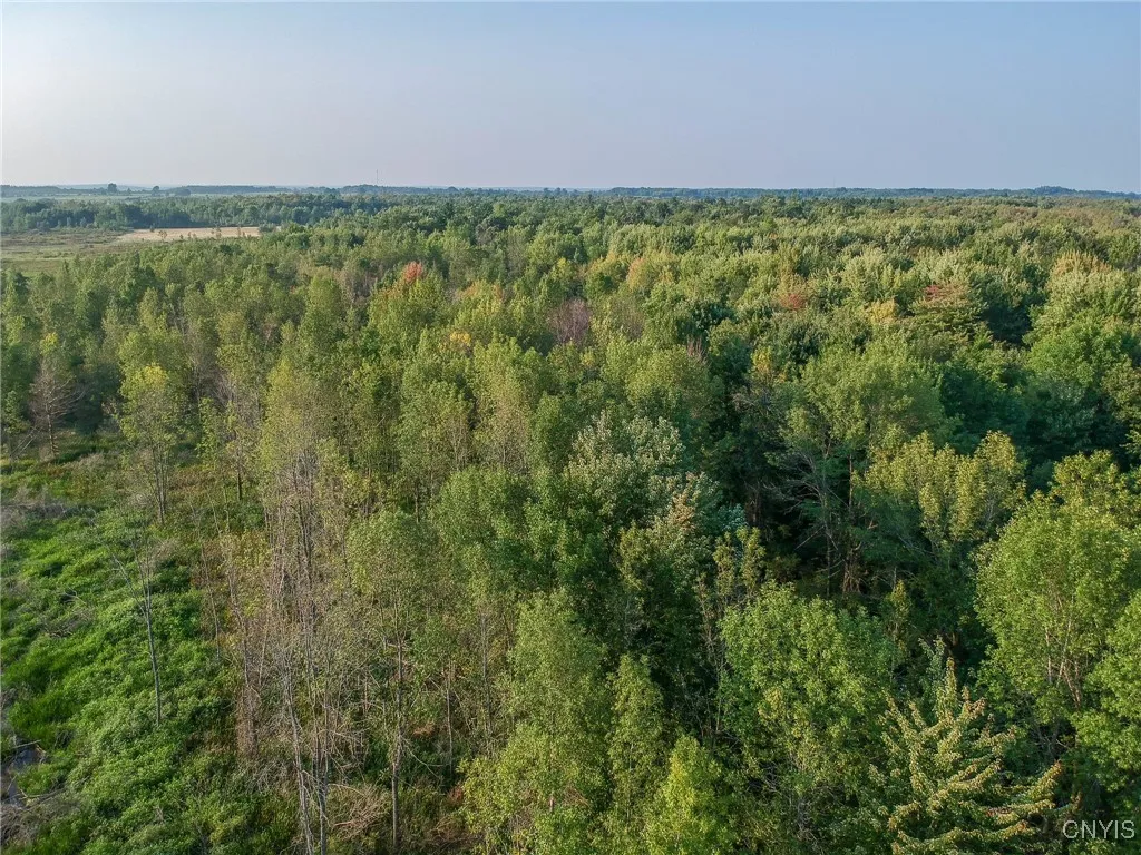 0 Black Creek Road, Clayton, New York 13624, Clayton, New York 13624, ,Land,For Sale,0 Black Creek Road, Clayton, New York 13624,0,S1631535