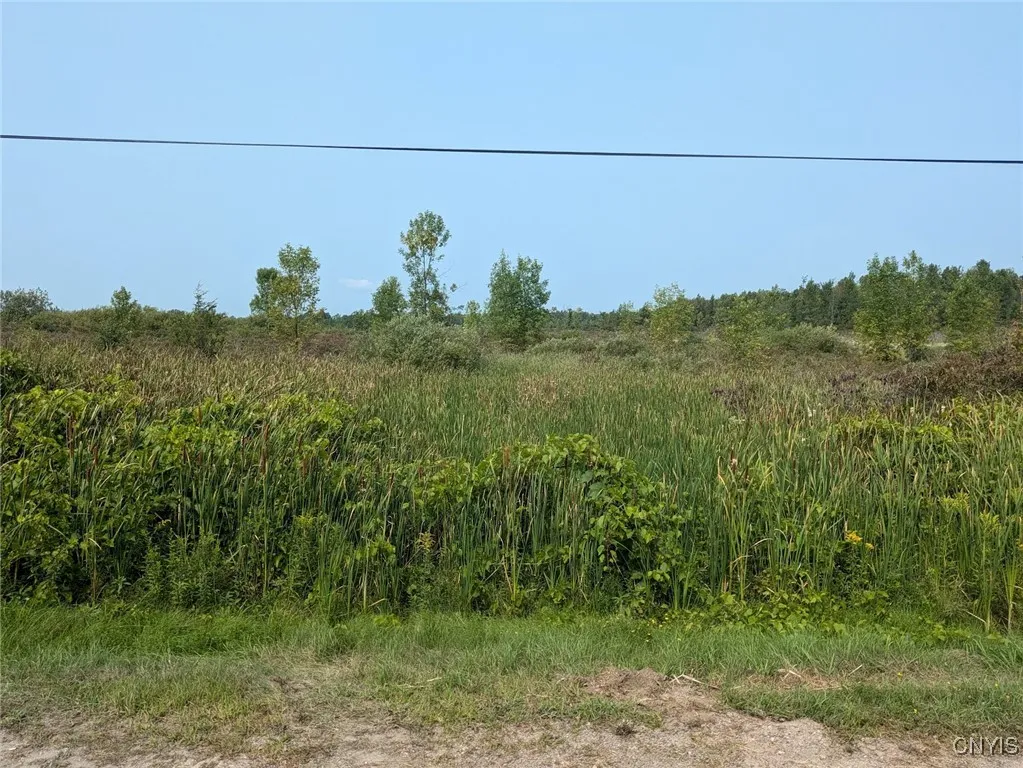0 Black Creek Road, Clayton, New York 13624, Clayton, New York 13624, ,Land,For Sale,0 Black Creek Road, Clayton, New York 13624,0,S1631535
