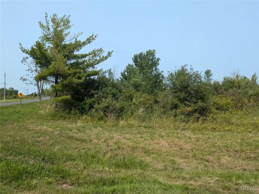 0 Black Creek Road, Clayton, New York 13624, Clayton, New York 13624, ,Land,For Sale,0 Black Creek Road, Clayton, New York 13624,0,S1631535