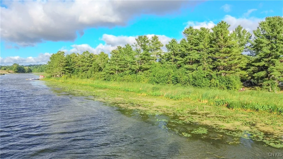 Beaver Meadow, Lyme, New York 13622, Lyme, New York 13622, ,Land,For Sale,Beaver Meadow, Lyme, New York 13622,0,S1631669