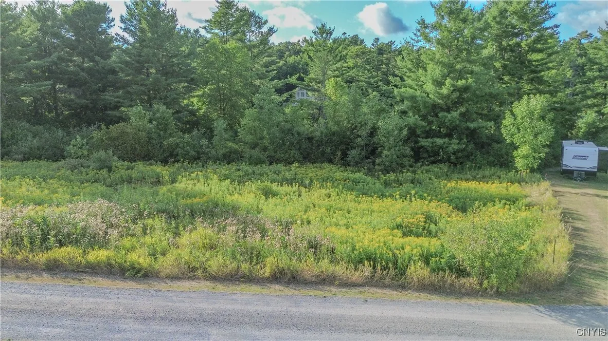 Beaver Meadow, Lyme, New York 13622, Lyme, New York 13622, ,Land,For Sale,Beaver Meadow, Lyme, New York 13622,0,S1631669