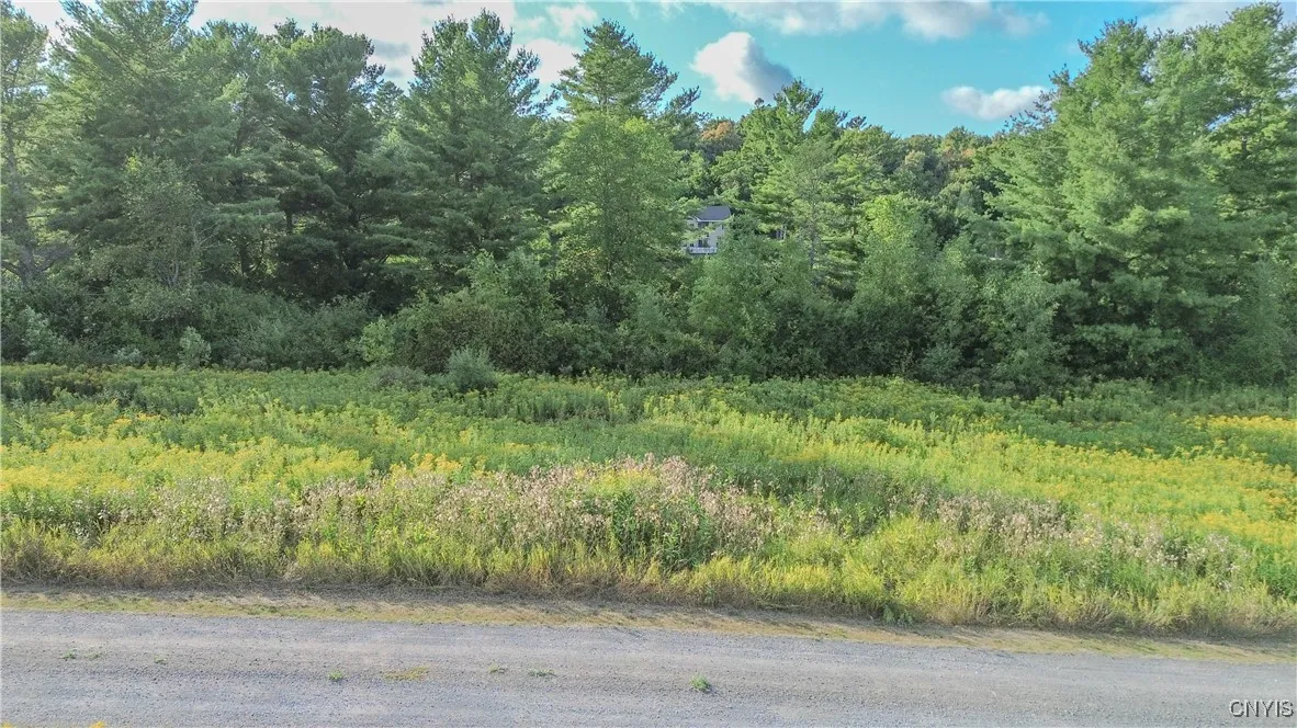 Beaver Meadow, Lyme, New York 13622, Lyme, New York 13622, ,Land,For Sale,Beaver Meadow, Lyme, New York 13622,0,S1631669