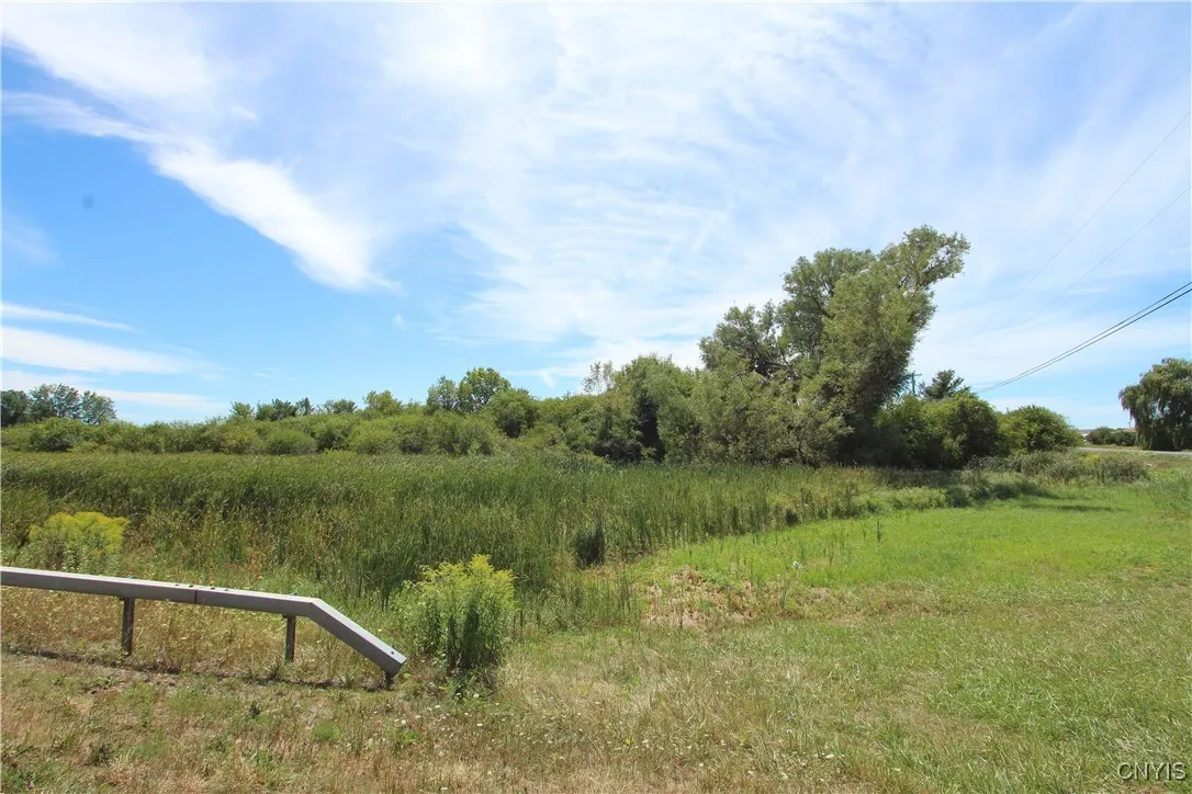 25049 B Rt-342, Pamelia, New York 13637, Pamelia, New York 13637, ,Land,For Sale,25049 B Rt-342, Pamelia, New York 13637,S1631696