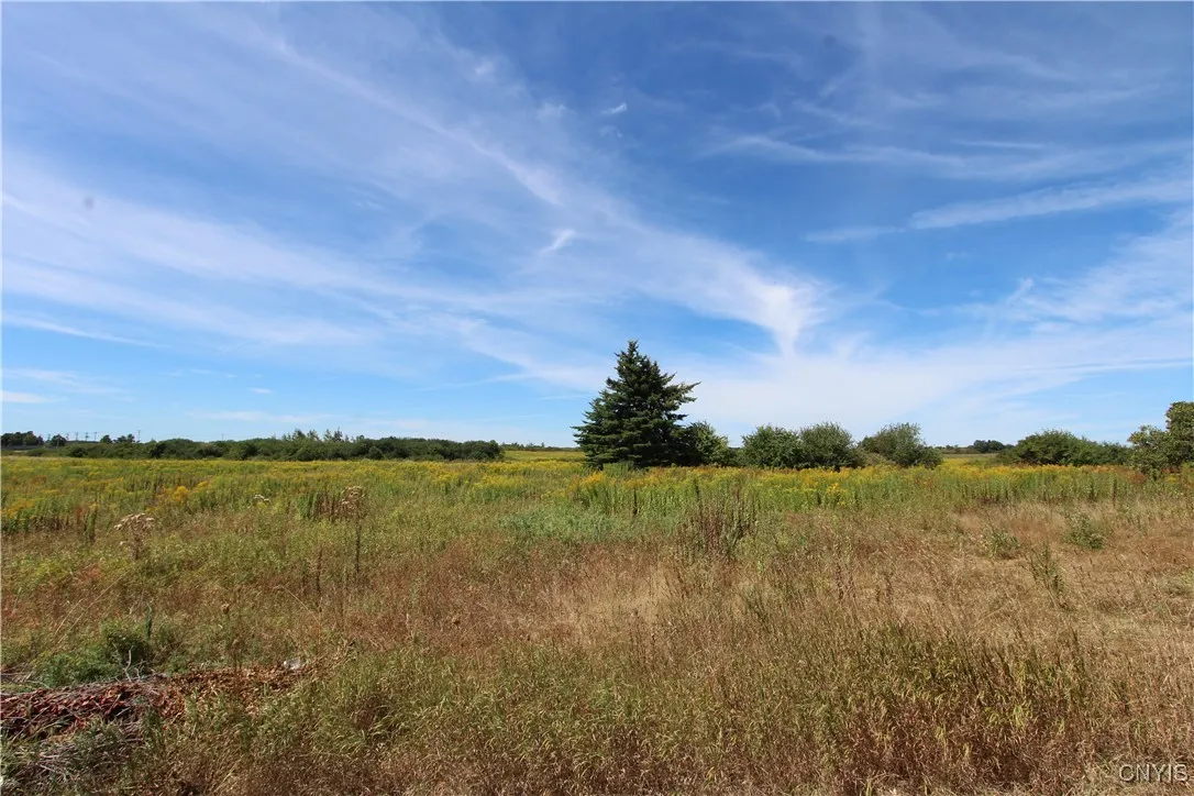 25049 B Rt-342, Pamelia, New York 13637, Pamelia, New York 13637, ,Land,For Sale,25049 B Rt-342, Pamelia, New York 13637,S1631696