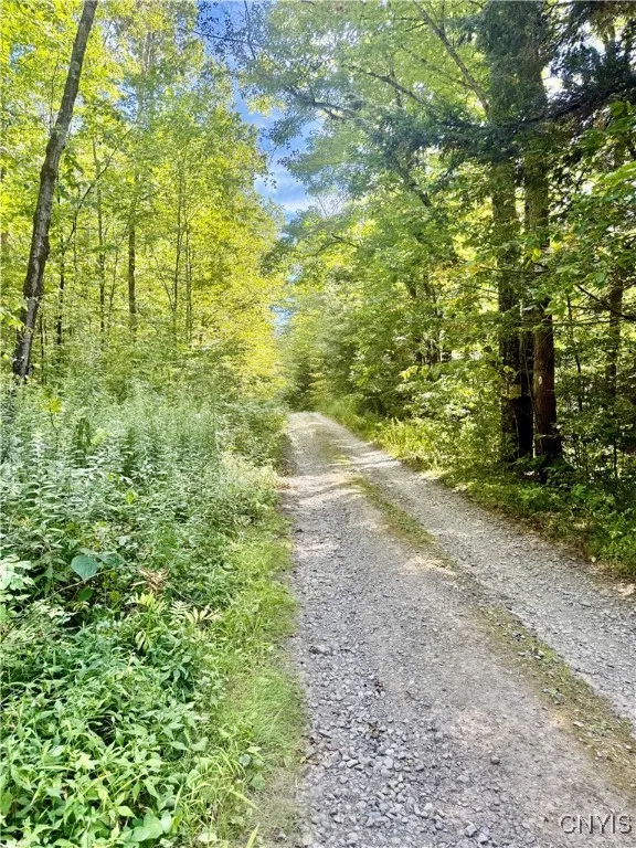 1792 Steve Russell Hill Road, Freetown, New York 1, Freetown, New York 13040, ,Land,For Sale,1792 Steve Russell Hill Road, Freetown, New York 1,S1631724