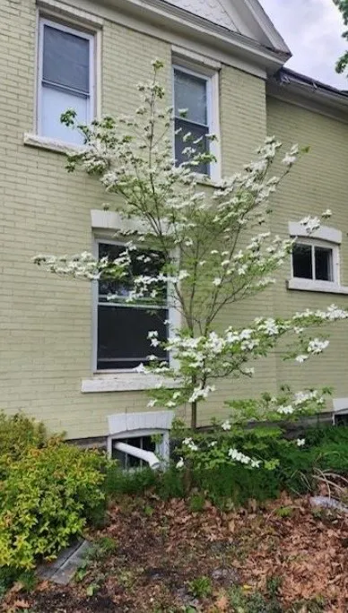 17 Adsit Place, Hornell, New York 14843, Hornell, New York 14843, 4 Bedrooms Bedrooms, 7 Rooms Rooms,1 BathroomBathrooms,Residential,For Sale,17 Adsit Place, Hornell, New York 14843,0,R1629304