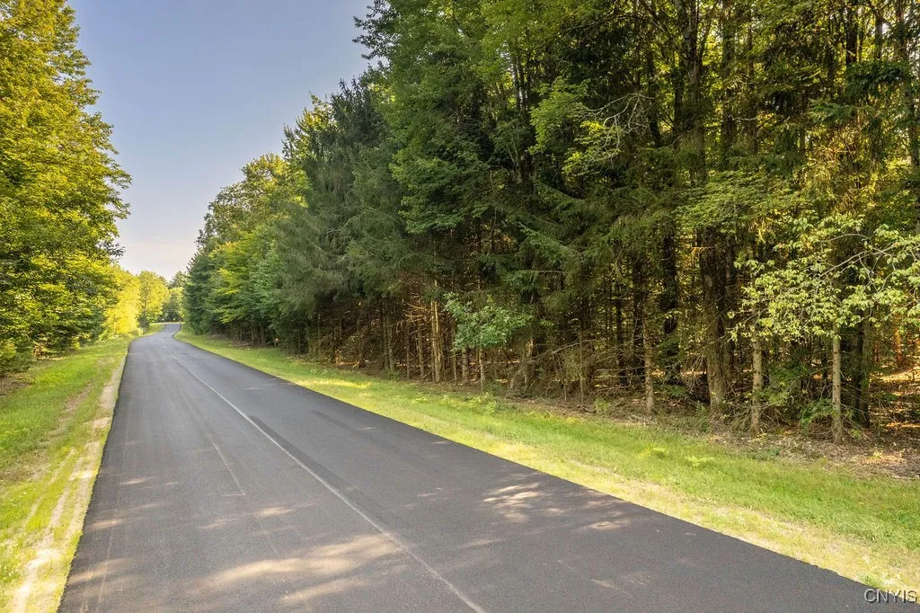 568 Martin Road, Constantia, New York 13042, Constantia, New York 13042, 1 Bedroom Bedrooms, ,Land,Closed,568 Martin Road, Constantia, New York 13042,0,S1631328