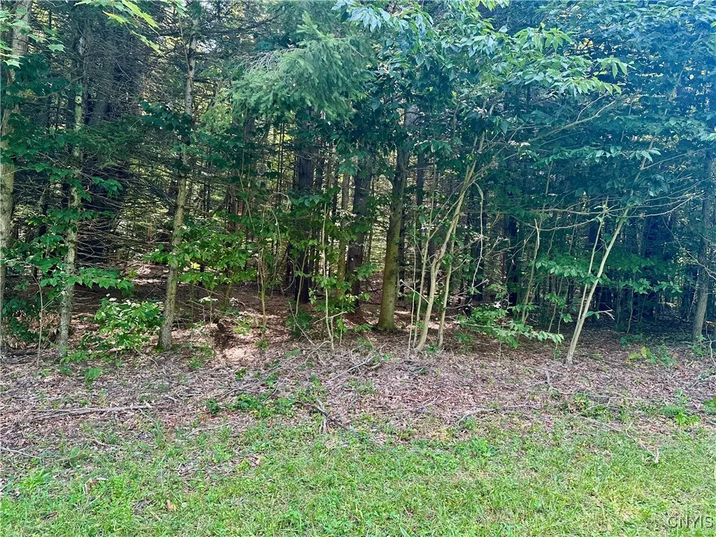 568 Martin Road, Constantia, New York 13042, Constantia, New York 13042, 1 Bedroom Bedrooms, ,Land,Closed,568 Martin Road, Constantia, New York 13042,0,S1631328