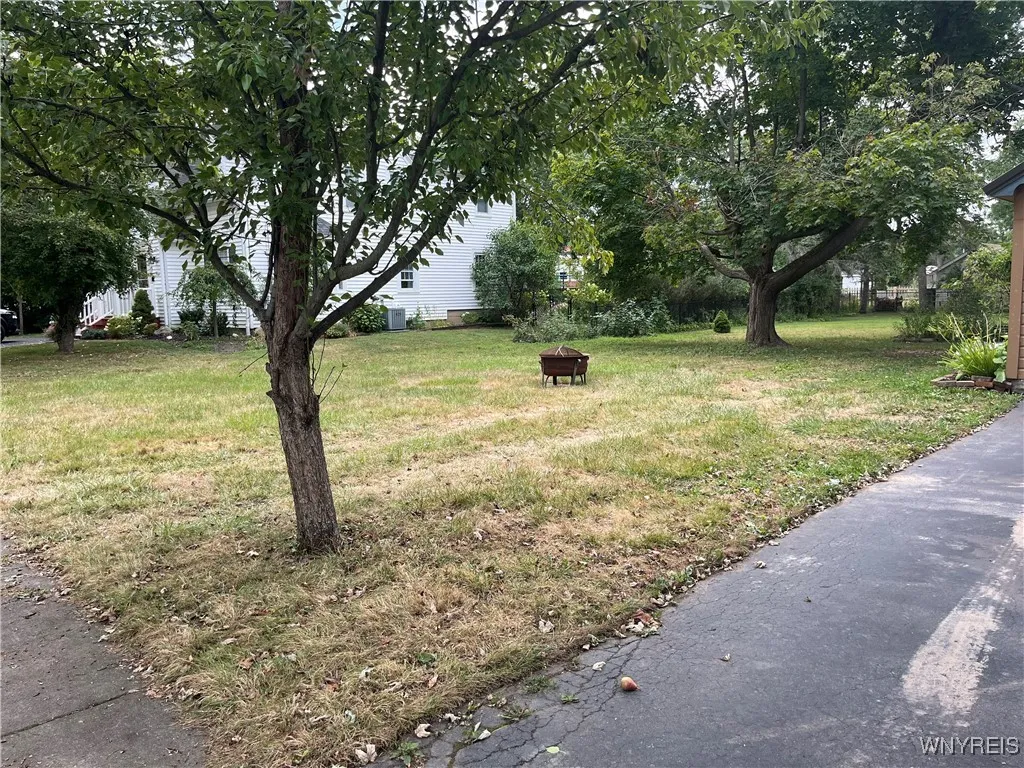Side Yard