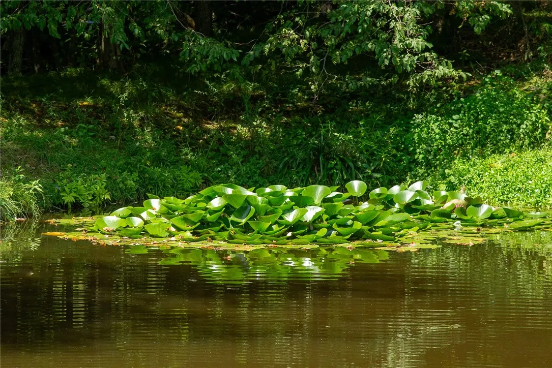 124 Bob Hall Road, Bovina, New York 13740, Bovina, New York 13740, 4 Bedrooms Bedrooms, 12 Rooms Rooms,2 BathroomsBathrooms,Residential,Closed,124 Bob Hall Road, Bovina, New York 13740,0,R1631311