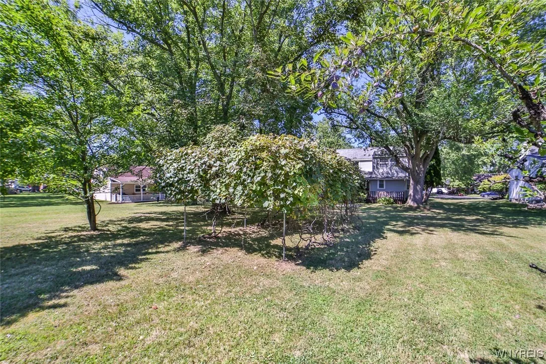 179 Allendale Rd, West Seneca, New York 14224, West Seneca, New York 14224, 4 Bedrooms Bedrooms, 8 Rooms Rooms,2 BathroomsBathrooms,Residential,For Sale,179 Allendale Rd, West Seneca, New York 14224,B1631804