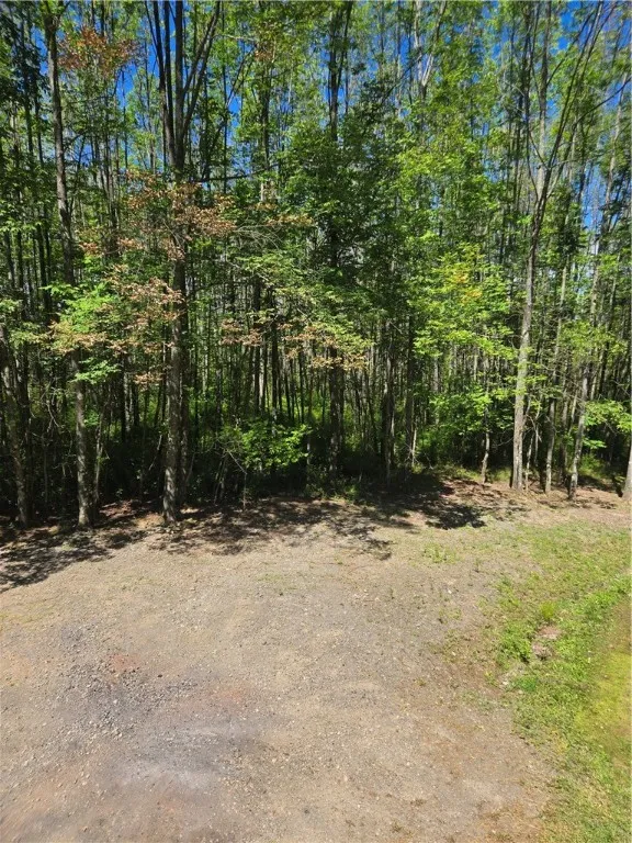 1050 Copes Corners, Butternuts, New York 13843, Butternuts, New York 13843, 2 Bedrooms Bedrooms, 6 Rooms Rooms,1 BathroomBathrooms,Residential,Closed,1050 Copes Corners, Butternuts, New York 13843,0,R1631837