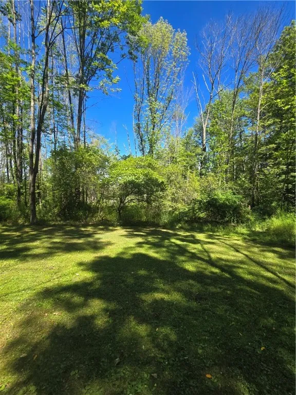 1050 Copes Corners, Butternuts, New York 13843, Butternuts, New York 13843, 2 Bedrooms Bedrooms, 6 Rooms Rooms,1 BathroomBathrooms,Residential,Closed,1050 Copes Corners, Butternuts, New York 13843,0,R1631837