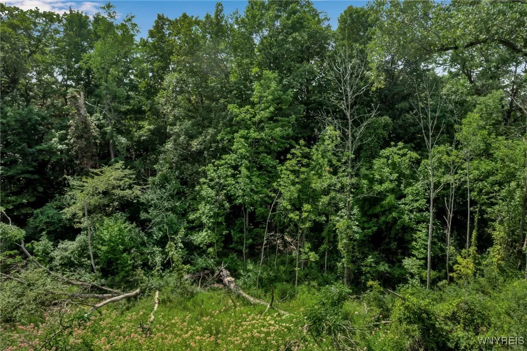 10121 Greiner Road, Clarence, New York 14031, Clarence, New York 14031, 2 Bedrooms Bedrooms, 6 Rooms Rooms,1 BathroomBathrooms,Residential,Closed,10121 Greiner Road, Clarence, New York 14031,0,B1631028