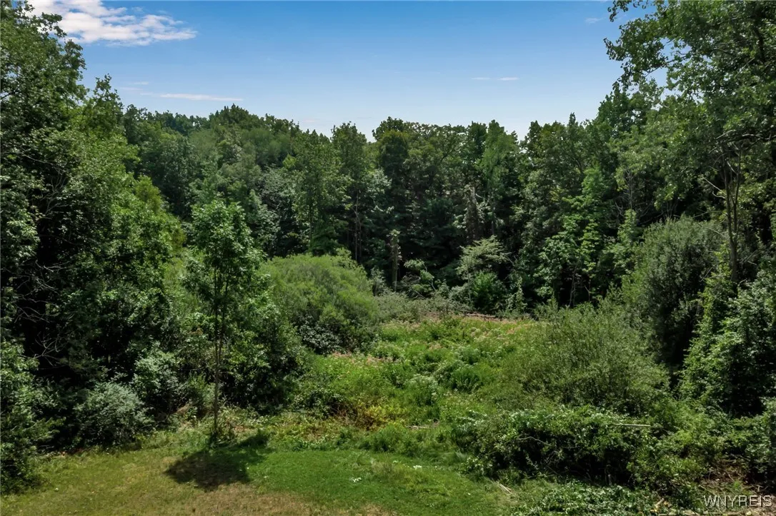 10121 Greiner Road, Clarence, New York 14031, Clarence, New York 14031, 2 Bedrooms Bedrooms, 6 Rooms Rooms,1 BathroomBathrooms,Residential,Closed,10121 Greiner Road, Clarence, New York 14031,0,B1631028