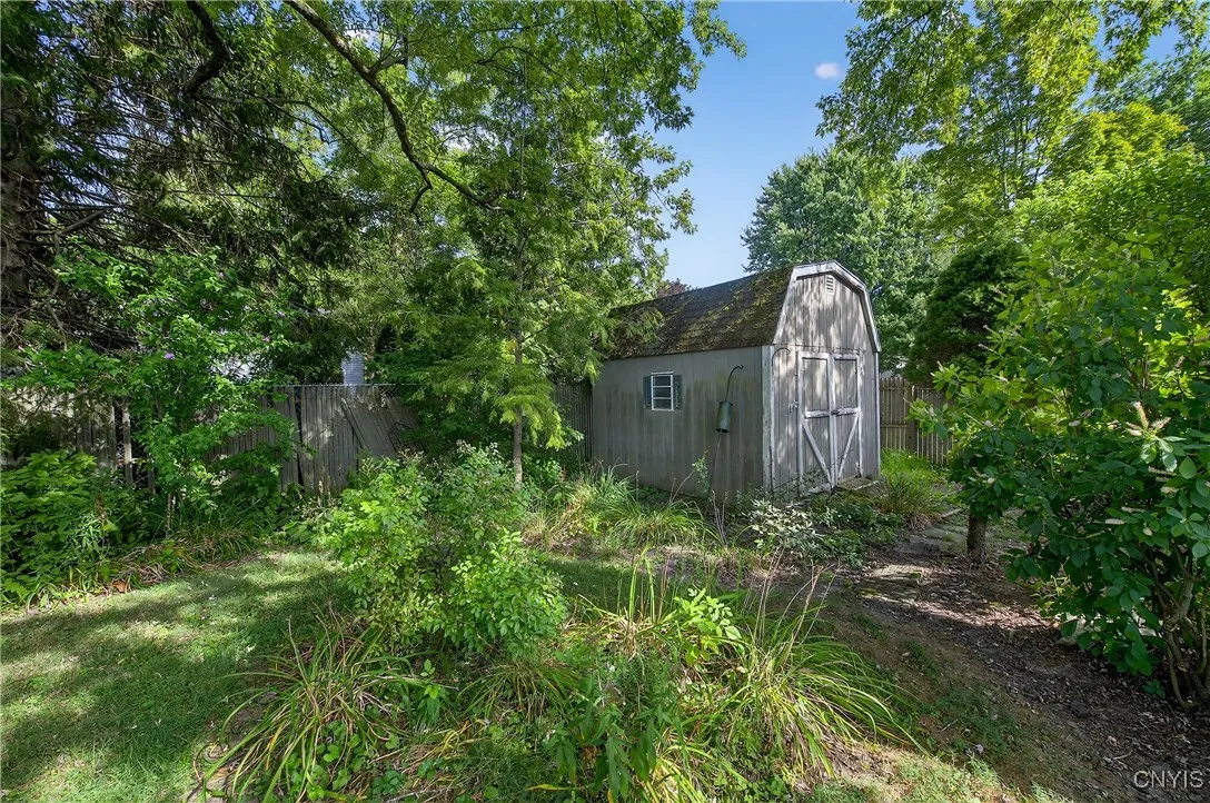 Shed in backyard