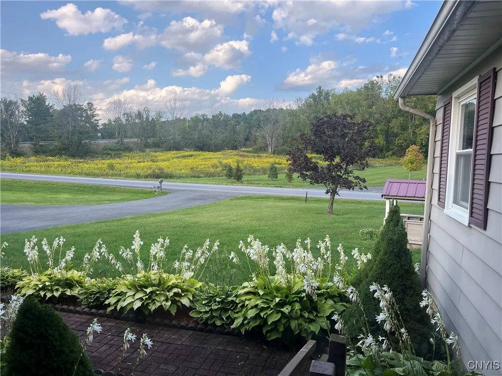 "Lookin out my front door" or view from the porch