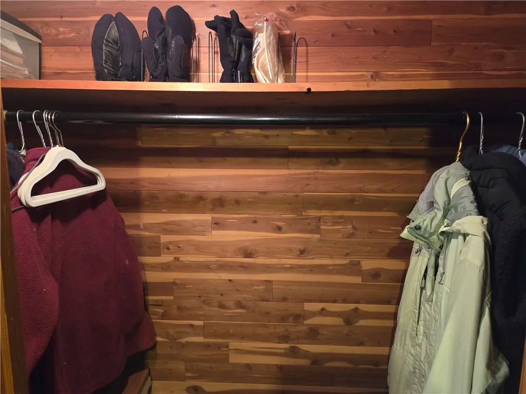 Cedar closet among the many storage areas in the very dry basement.