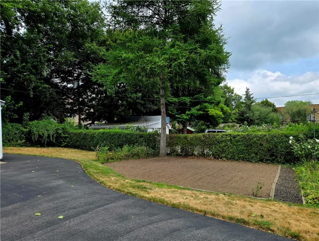 Huge driveway, recently repaved.
