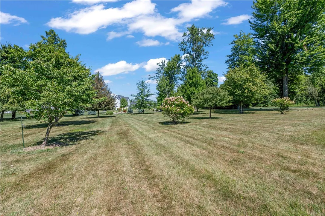 85 Mission Hill Drive, Clarkson, New York 14420, Clarkson, New York 14420, 5 Bedrooms Bedrooms, 13 Rooms Rooms,3 BathroomsBathrooms,Residential,Closed,85 Mission Hill Drive, Clarkson, New York 14420,0,R1631918 85 Mission Hill Drive, Clarkson, New York 14420, Clarkson, New York 14420, 5 Bedrooms Bedrooms, 13 Rooms Rooms,3 BathroomsBathrooms,Residential,Closed,85 Mission Hill Drive, Clarkson, New York 14420,0,R1631918