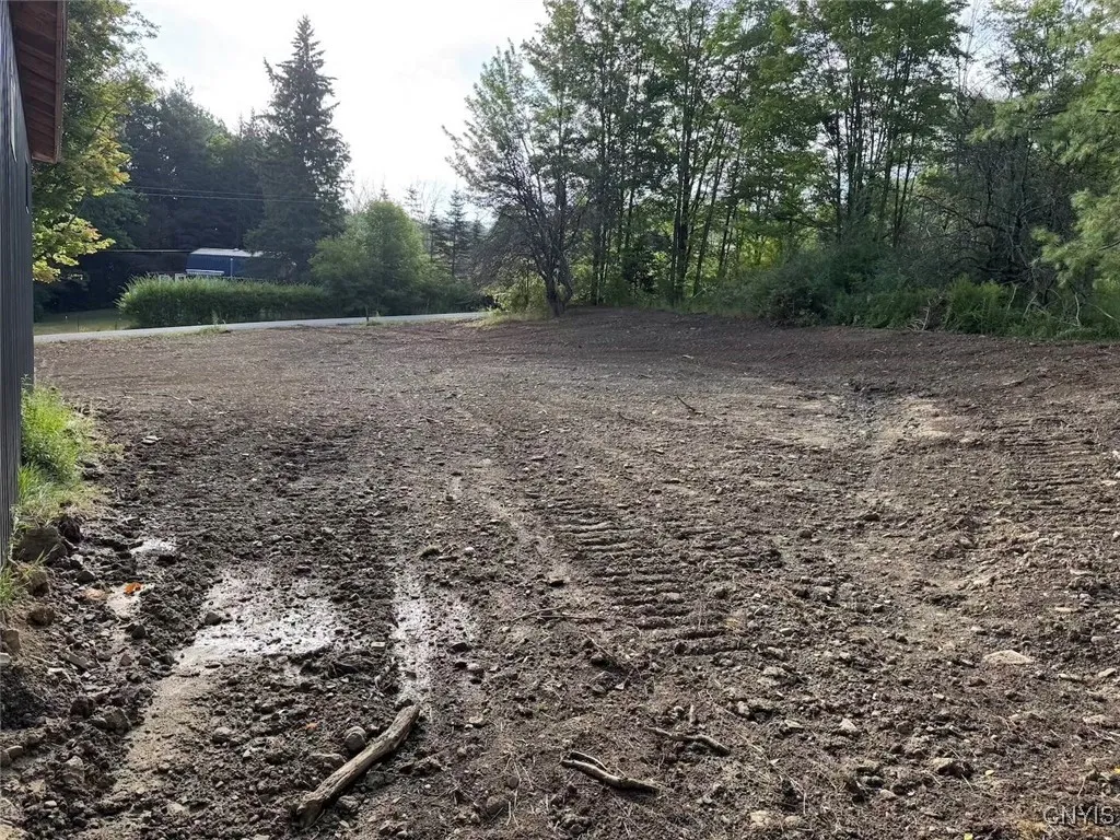 7899 Slusher Hill Road, New Hudson, New York 14717, New Hudson, New York 14717, ,Land,Closed,7899 Slusher Hill Road, New Hudson, New York 14717,0,S1632254