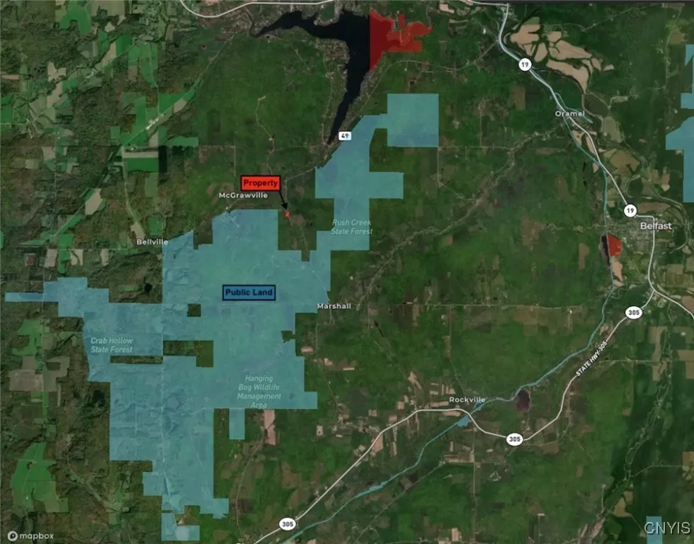 7899 Slusher Hill Road, New Hudson, New York 14717, New Hudson, New York 14717, ,Land,Closed,7899 Slusher Hill Road, New Hudson, New York 14717,0,S1632254