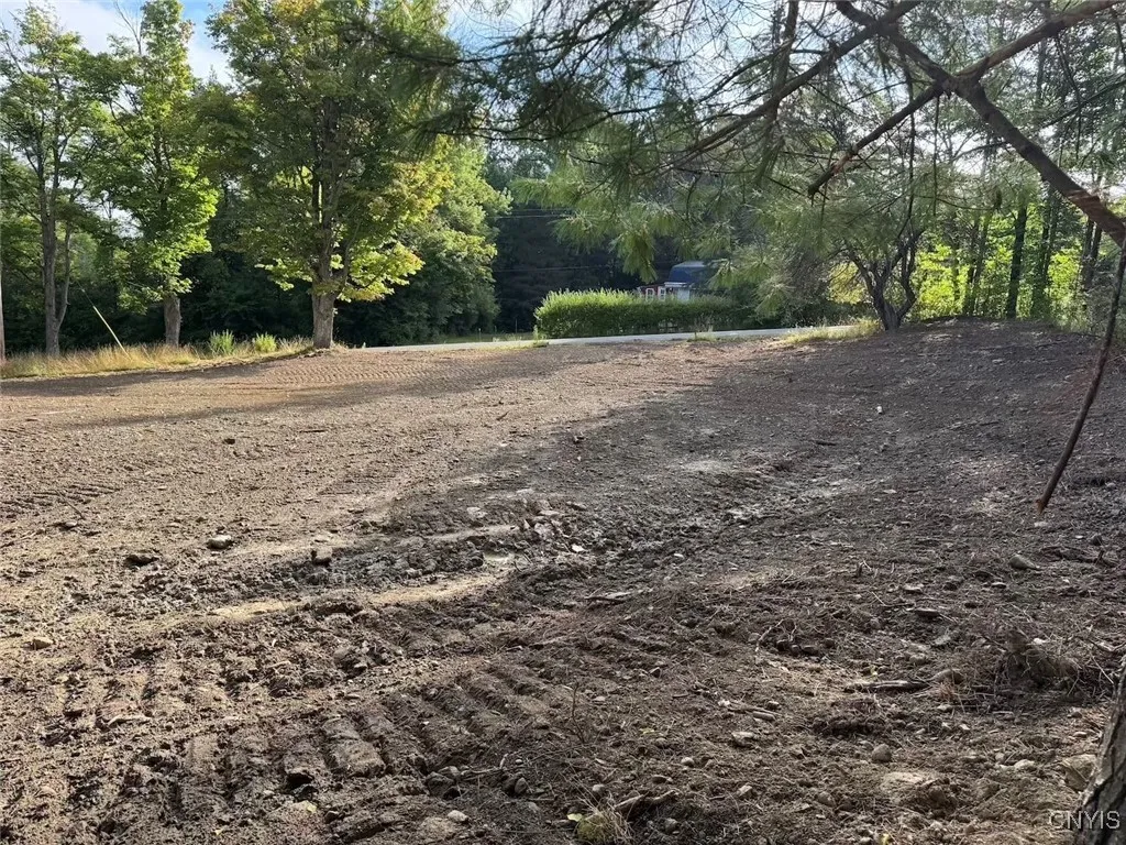 7899 Slusher Hill Road, New Hudson, New York 14717, New Hudson, New York 14717, ,Land,Closed,7899 Slusher Hill Road, New Hudson, New York 14717,0,S1632254