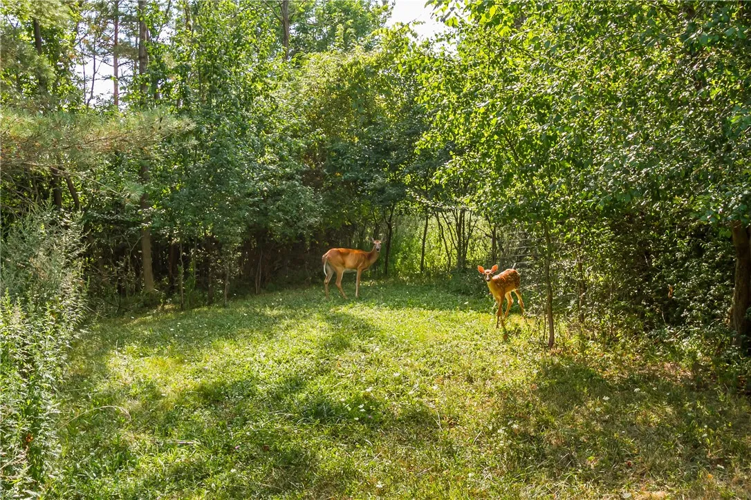 TO BE AT ONE WITH NATURE!