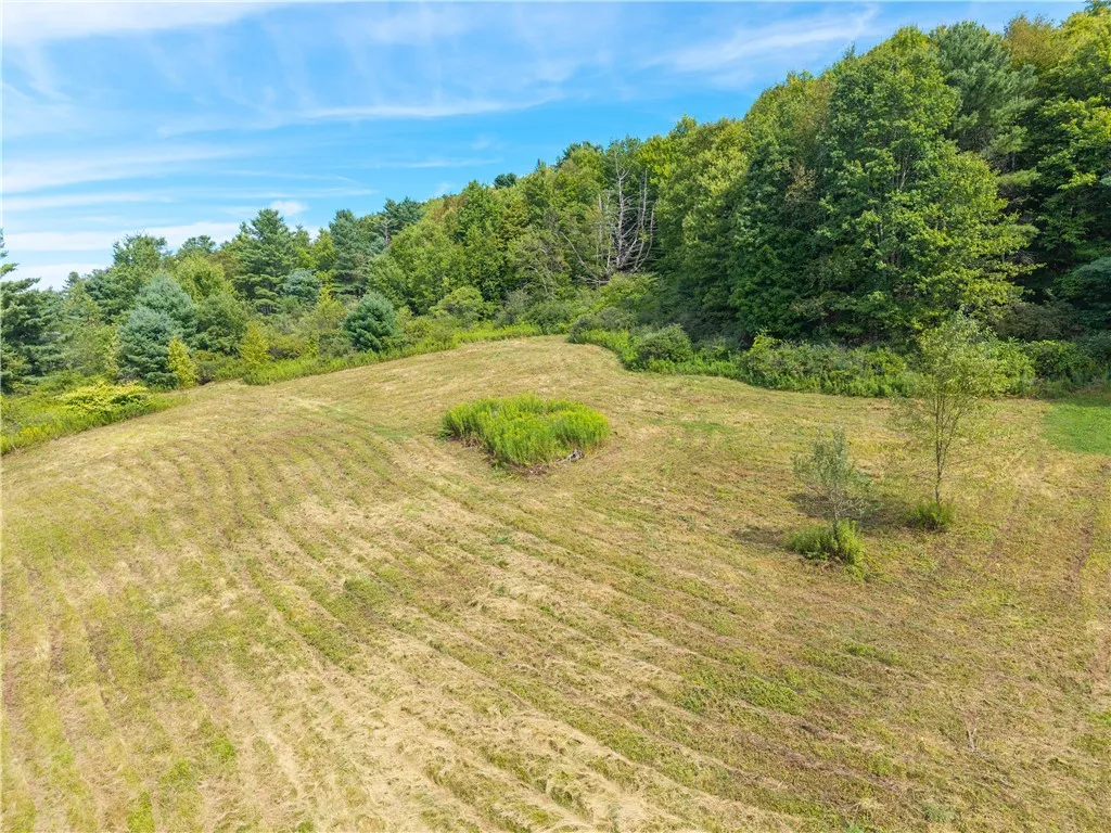 104 Gersoni Road, Milford, New York 13820, Milford, New York 13820, 5 Bedrooms Bedrooms, 12 Rooms Rooms,2 BathroomsBathrooms,Residential,Closed,104 Gersoni Road, Milford, New York 13820,0,R1632154