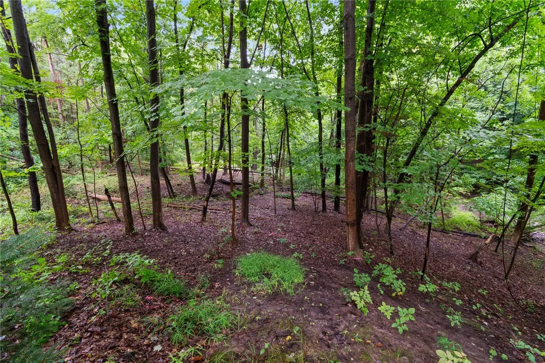 152 Homewood Lane, Irondequoit, New York 14609, Irondequoit, New York 14609, 3 Bedrooms Bedrooms, 5 Rooms Rooms,3 BathroomsBathrooms,Residential,Closed,152 Homewood Lane, Irondequoit, New York 14609,0,R1632477