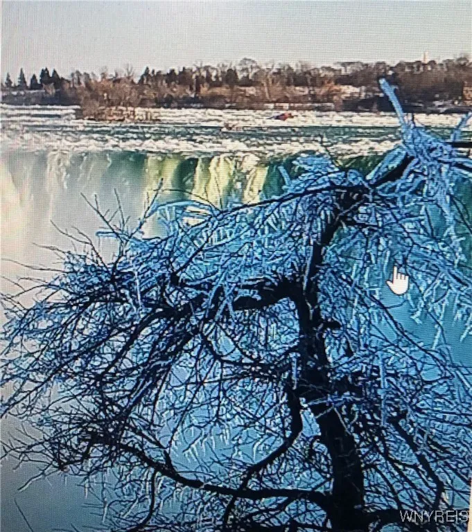 CRYSTAL WINTER SCENE