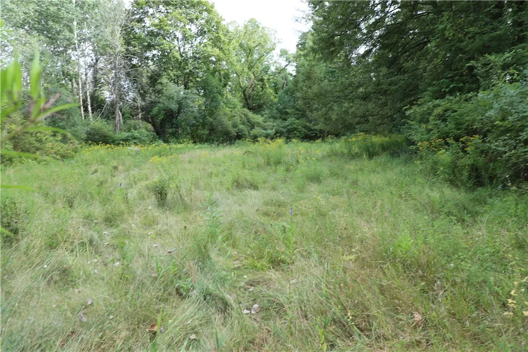 7422 Robinson Road, Throop, New York 13021, Throop, New York 13021, 3 Bedrooms Bedrooms, 7 Rooms Rooms,1 BathroomBathrooms,Residential,Closed,7422 Robinson Road, Throop, New York 13021,0,R1632367