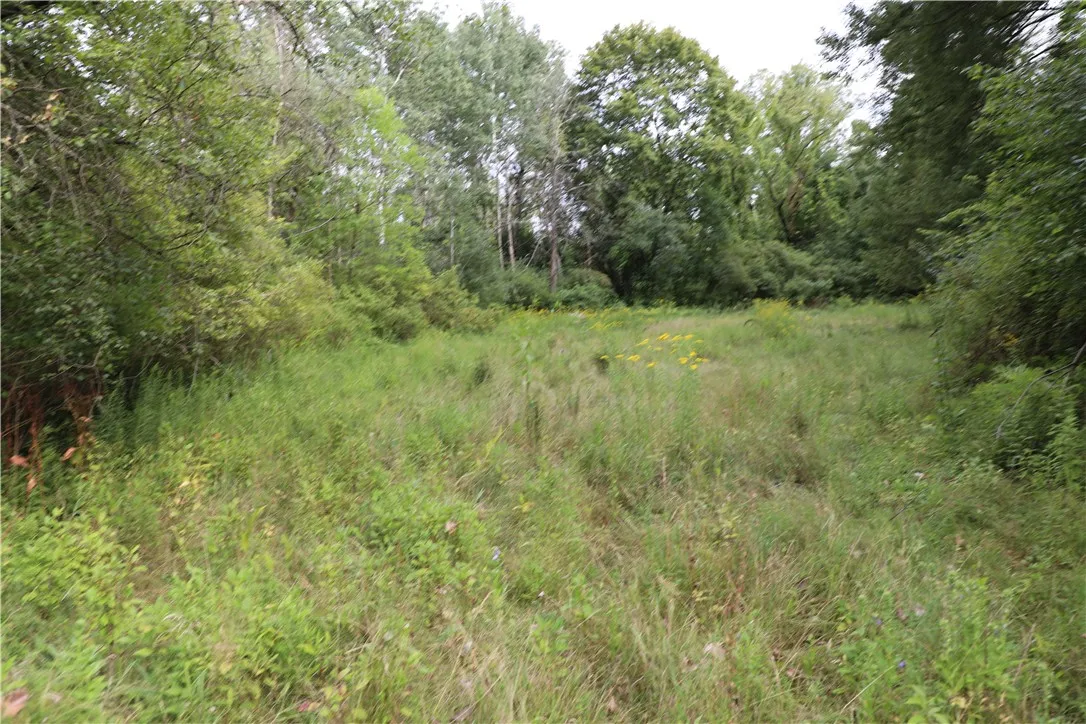 7422 Robinson Road, Throop, New York 13021, Throop, New York 13021, 3 Bedrooms Bedrooms, 7 Rooms Rooms,1 BathroomBathrooms,Residential,Closed,7422 Robinson Road, Throop, New York 13021,0,R1632367