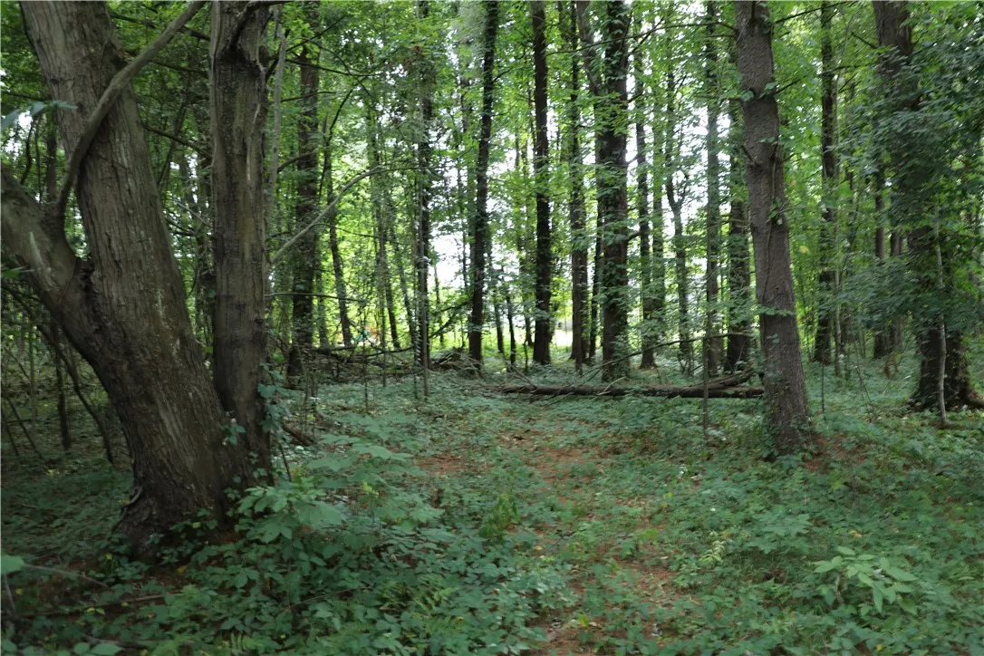 7422 Robinson Road, Throop, New York 13021, Throop, New York 13021, 3 Bedrooms Bedrooms, 7 Rooms Rooms,1 BathroomBathrooms,Residential,Closed,7422 Robinson Road, Throop, New York 13021,0,R1632367