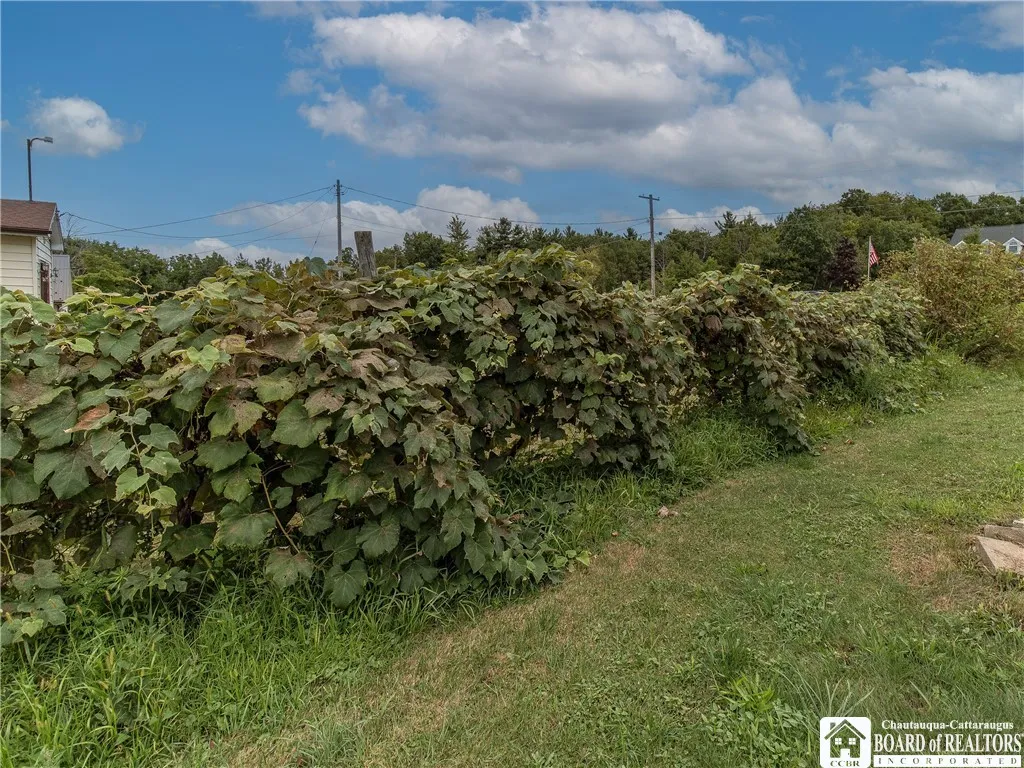 12377 Pennsylvania Avenue, Sheridan, New York 1413, Sheridan, New York 14136, 4 Bedrooms Bedrooms, 7 Rooms Rooms,2 BathroomsBathrooms,Residential,Closed,12377 Pennsylvania Avenue, Sheridan, New York 1413,0,R1611067