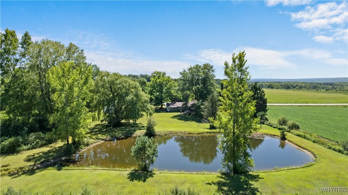 1133 Perry Road, Sheldon, New York 14145, Sheldon, New York 14145, 3 Bedrooms Bedrooms, 6 Rooms Rooms,2 BathroomsBathrooms,Residential,For Sale,1133 Perry Road, Sheldon, New York 14145,B1631582