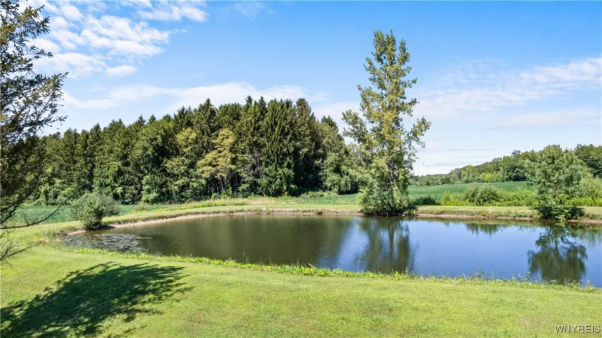 1133 Perry Road, Sheldon, New York 14145, Sheldon, New York 14145, 3 Bedrooms Bedrooms, 6 Rooms Rooms,2 BathroomsBathrooms,Residential,For Sale,1133 Perry Road, Sheldon, New York 14145,B1631582