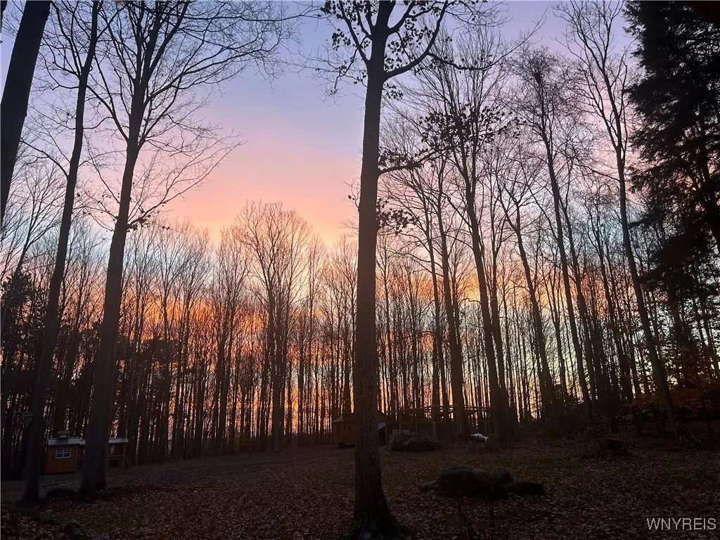 7777 Aldrich Hill Road, Cherry Creek, New York 147, Cherry Creek, New York 14723, 4 Bedrooms Bedrooms, 13 Rooms Rooms,2 BathroomsBathrooms,Residential,For Sale,7777 Aldrich Hill Road, Cherry Creek, New York 147,0,B1632021