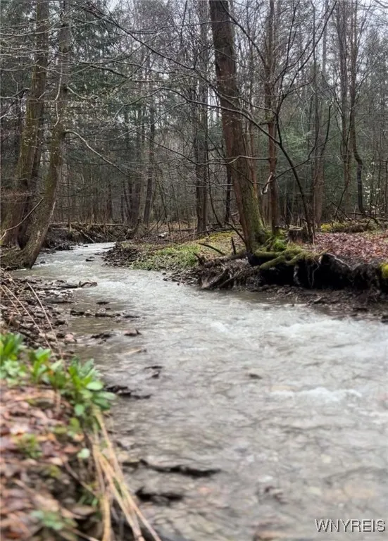 7777 Aldrich Hill Road, Cherry Creek, New York 147, Cherry Creek, New York 14723, 4 Bedrooms Bedrooms, 13 Rooms Rooms,2 BathroomsBathrooms,Residential,For Sale,7777 Aldrich Hill Road, Cherry Creek, New York 147,0,B1632021