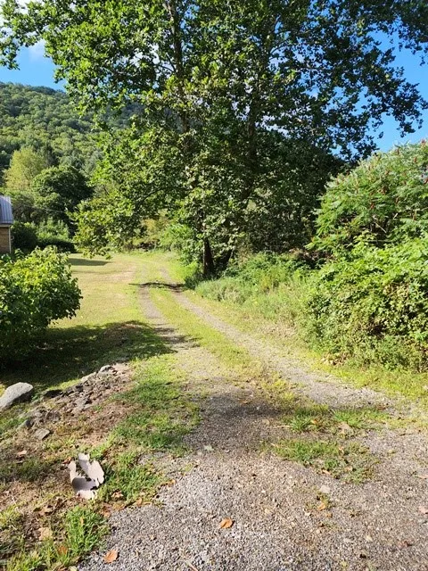 331 Clear Creek Road, Shippen Twp, Pennsylvania 15, Shippen Twp, Pennsylvania 15834, 4 Bedrooms Bedrooms, 7 Rooms Rooms,1 BathroomBathrooms,Residential,For Sale,331 Clear Creek Road, Shippen Twp, Pennsylvania 15,R1632816