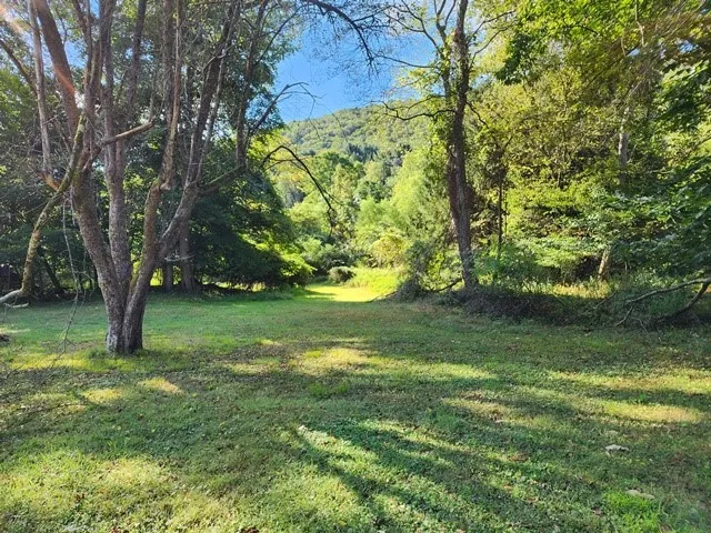 331 Clear Creek Road, Shippen Twp, Pennsylvania 15, Shippen Twp, Pennsylvania 15834, 4 Bedrooms Bedrooms, 7 Rooms Rooms,1 BathroomBathrooms,Residential,For Sale,331 Clear Creek Road, Shippen Twp, Pennsylvania 15,R1632816