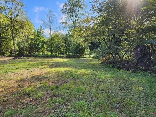 331 Clear Creek Road, Shippen Twp, Pennsylvania 15, Shippen Twp, Pennsylvania 15834, 4 Bedrooms Bedrooms, 7 Rooms Rooms,1 BathroomBathrooms,Residential,For Sale,331 Clear Creek Road, Shippen Twp, Pennsylvania 15,R1632816