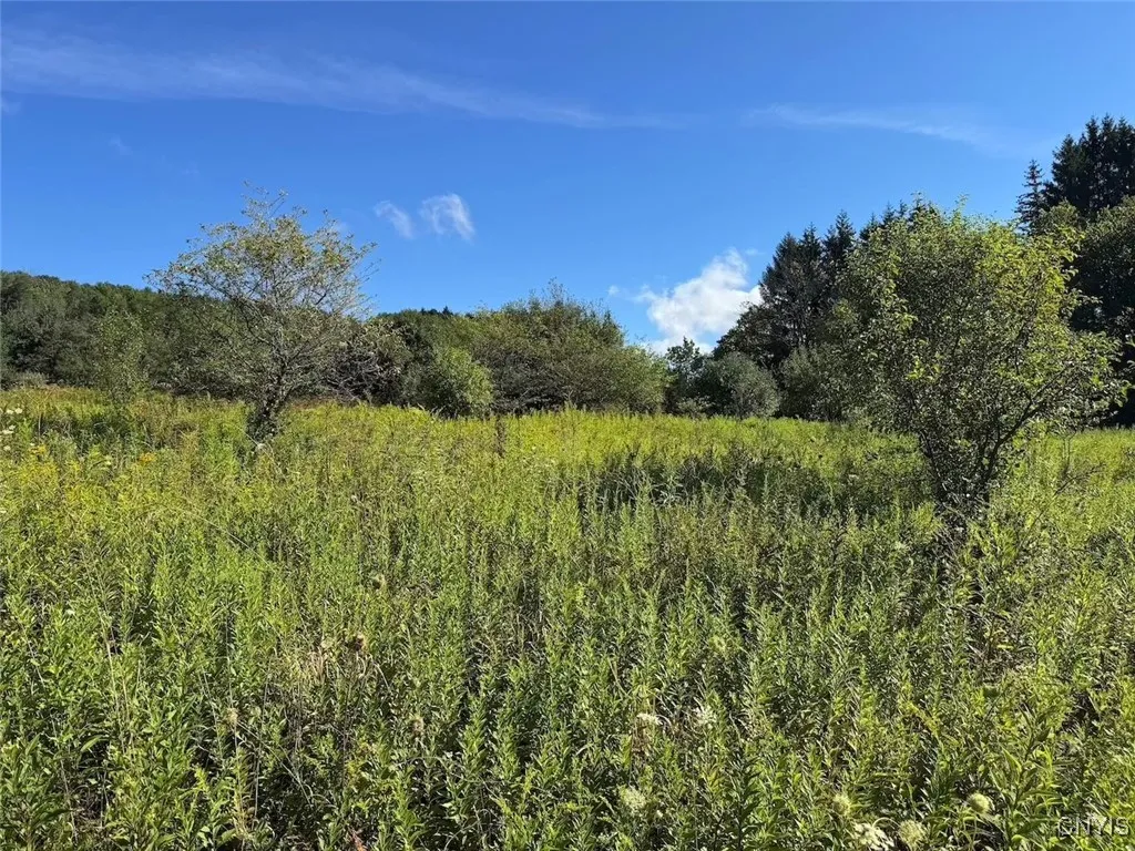 East Valley Road, Alfred, New York 14806, Alfred, New York 14806, 3 Bedrooms Bedrooms, ,Land,For Sale,East Valley Road, Alfred, New York 14806,S1632835