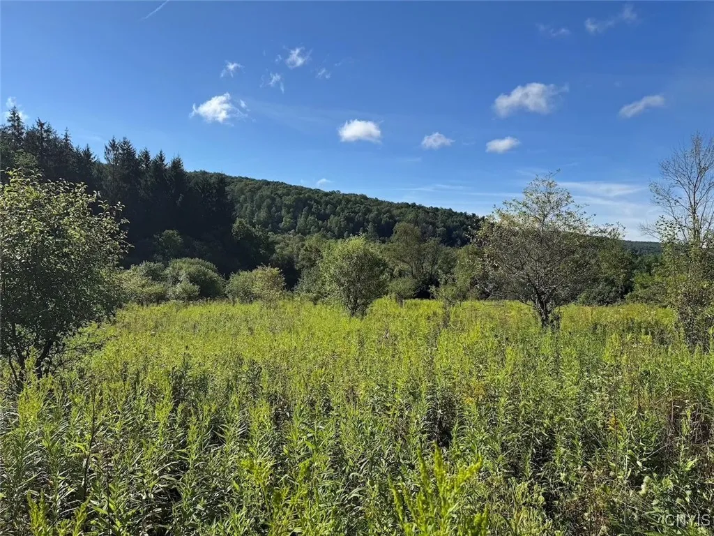 East Valley Road, Alfred, New York 14806, Alfred, New York 14806, 3 Bedrooms Bedrooms, ,Land,For Sale,East Valley Road, Alfred, New York 14806,S1632835