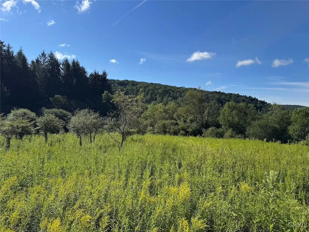 East Valley Road, Alfred, New York 14806, Alfred, New York 14806, 3 Bedrooms Bedrooms, ,Land,For Sale,East Valley Road, Alfred, New York 14806,S1632835