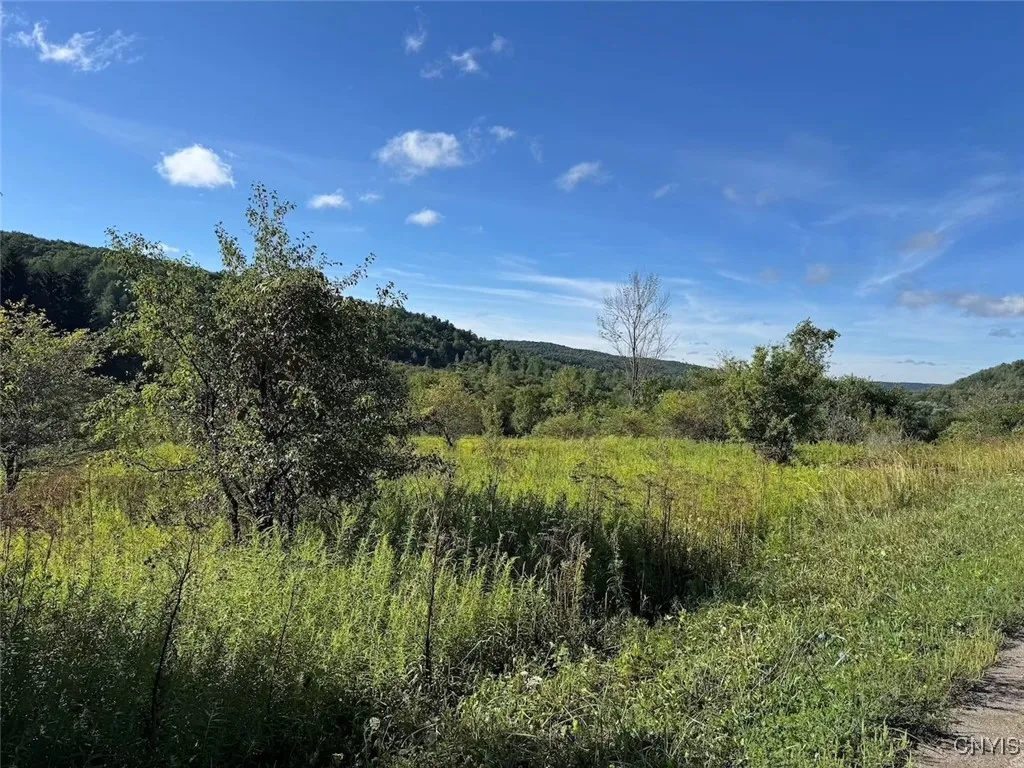 East Valley Road, Alfred, New York 14806, Alfred, New York 14806, 3 Bedrooms Bedrooms, ,Land,For Sale,East Valley Road, Alfred, New York 14806,S1632835