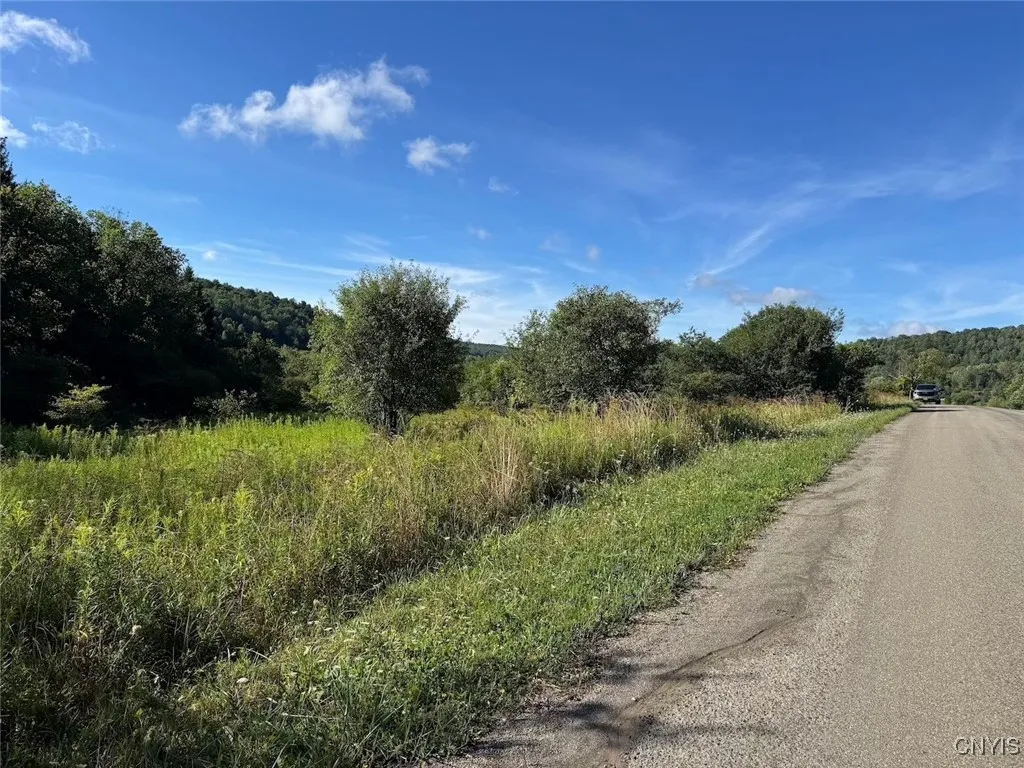 East Valley Road, Alfred, New York 14806, Alfred, New York 14806, 3 Bedrooms Bedrooms, ,Land,For Sale,East Valley Road, Alfred, New York 14806,S1632835