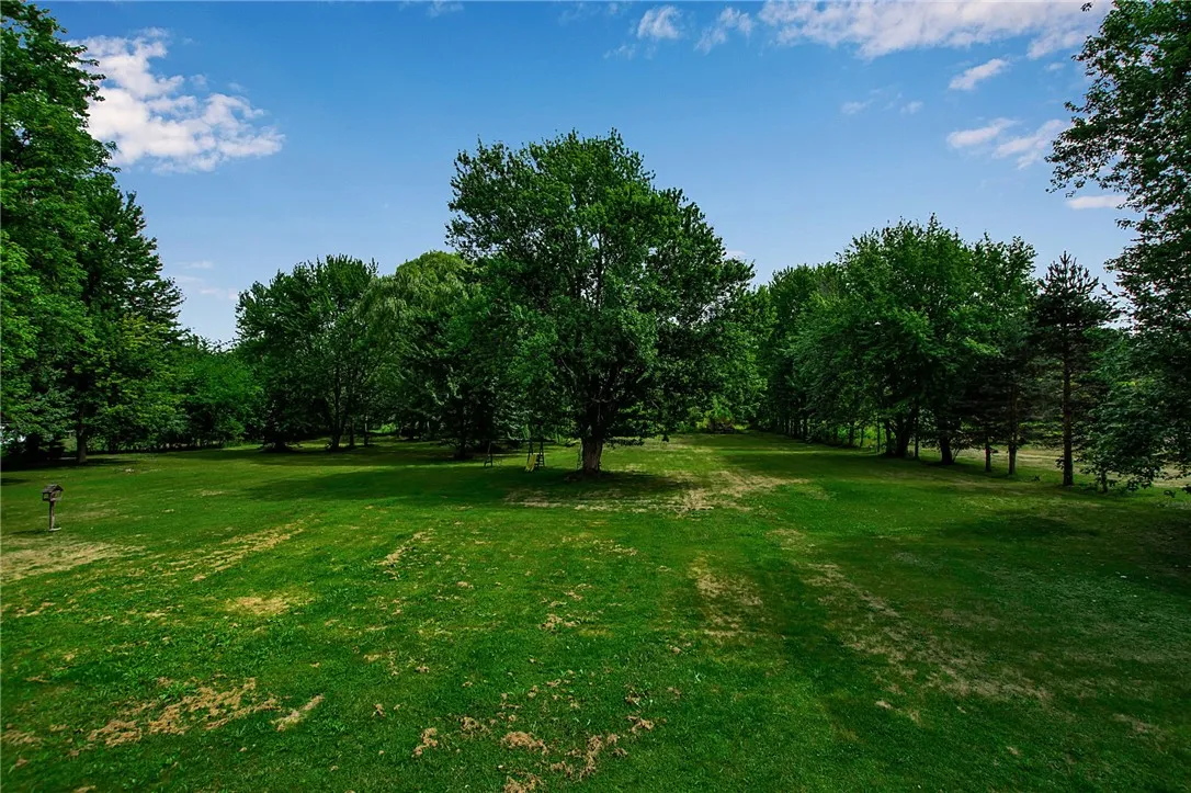 view into backyard
