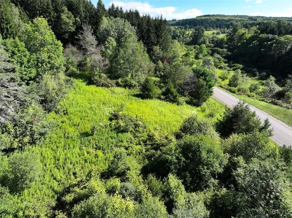 East Valley Road, Alfred, New York 14806, Alfred, New York 14806, 3 Bedrooms Bedrooms, ,Land,For Sale,East Valley Road, Alfred, New York 14806,S1632852