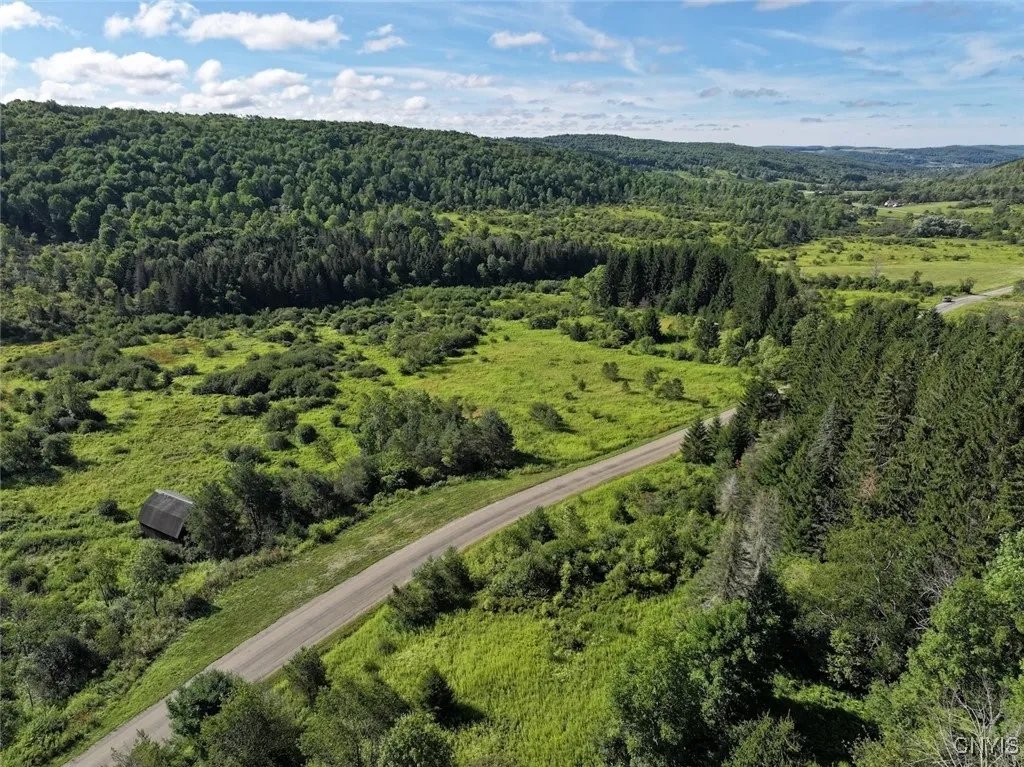 East Valley Road, Alfred, New York 14806, Alfred, New York 14806, 3 Bedrooms Bedrooms, ,Land,For Sale,East Valley Road, Alfred, New York 14806,S1632852